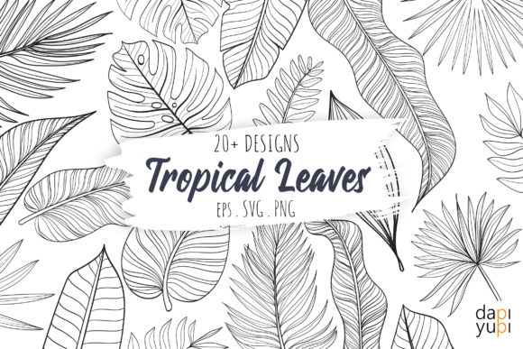 Download Tropical Leaves Line Art Graphic Element - Graphic element Collection