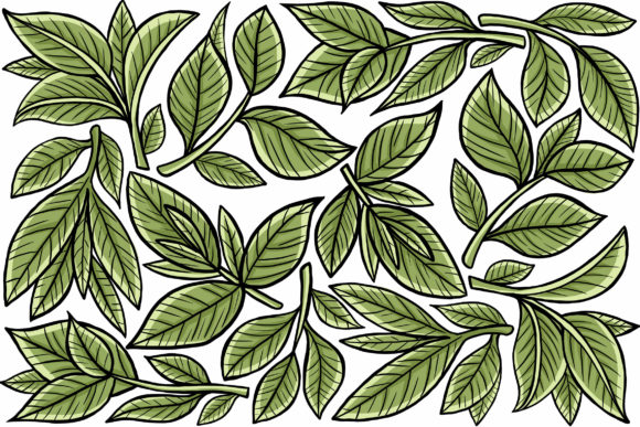 Download Leaf Graphic Element - Premium Bundle