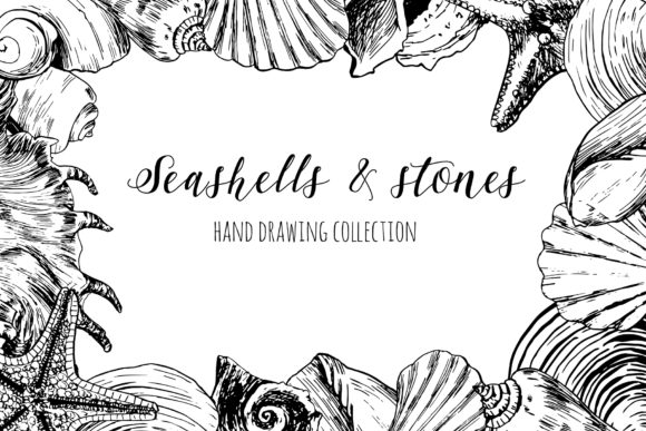 Download Seashells &amp; Stones Set - Stones Collection